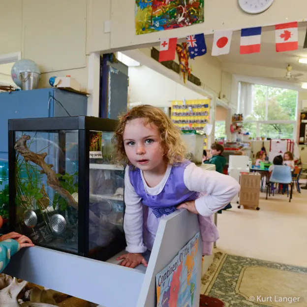 Beckenham Kindy Photos (2018) — photograph 254 of 269