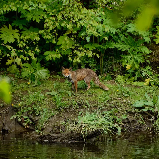 Glasgow 2012 — photograph 49 of 228