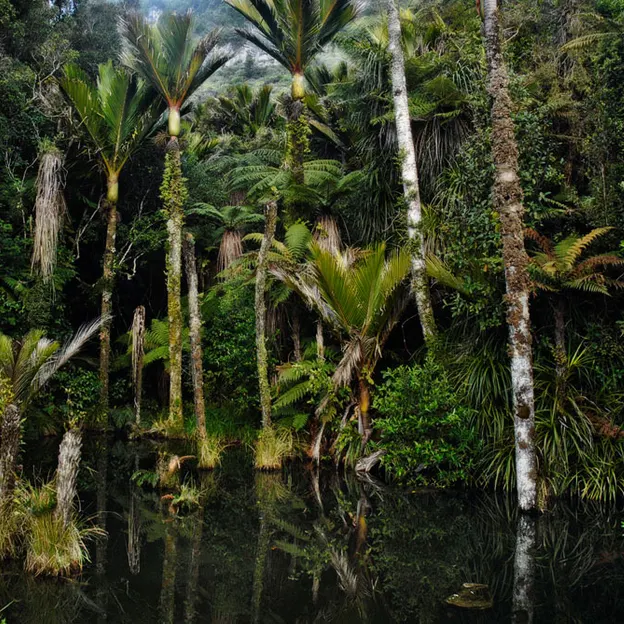NZ Scenery — photograph 57 of 76