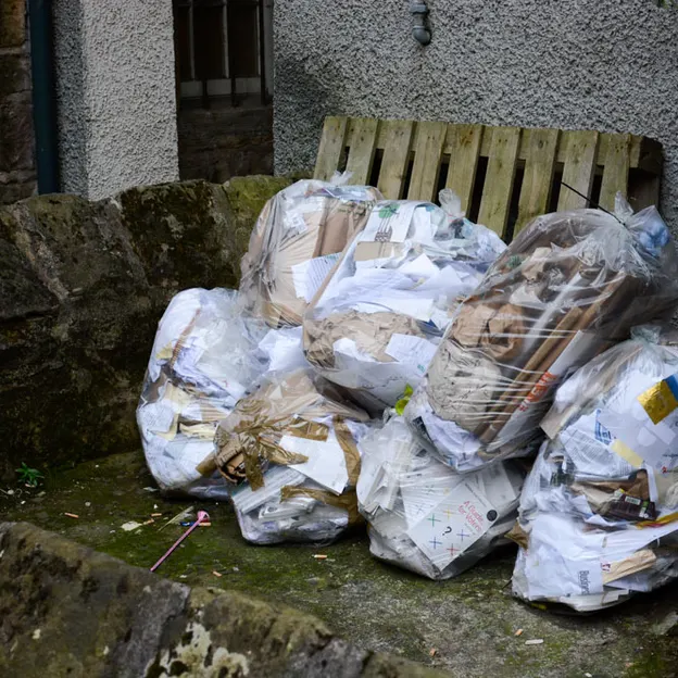 Rubbish — photograph 22 of 24