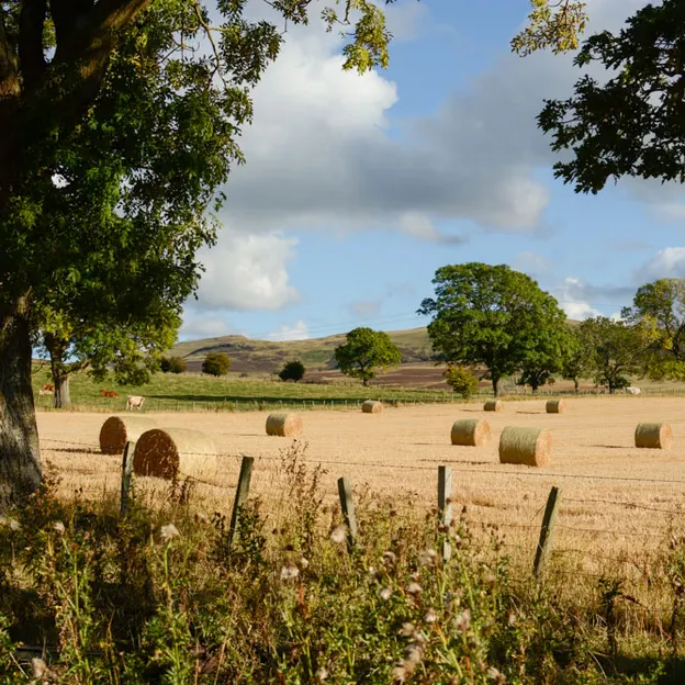 Edinburgh's Beautiful Countryside — photograph 31 of 34