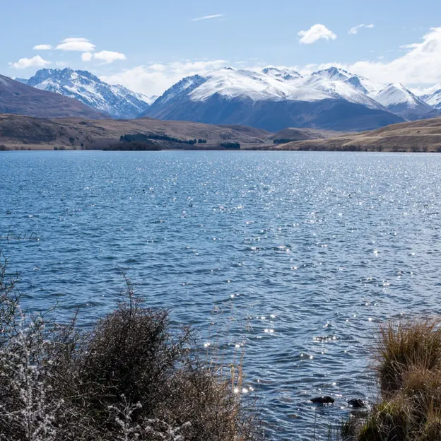 3.9.2020 Tekapo Trip — photograph 121 of 200