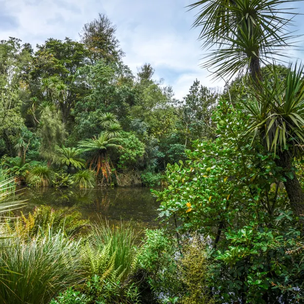The NZ Garden At The Christchurch Botanical Gardens — photograph 28 of 52