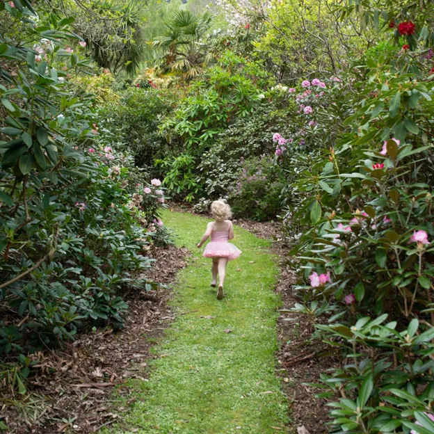 Little River Open Garden Day 27.10.2019 — photograph 46 of 113