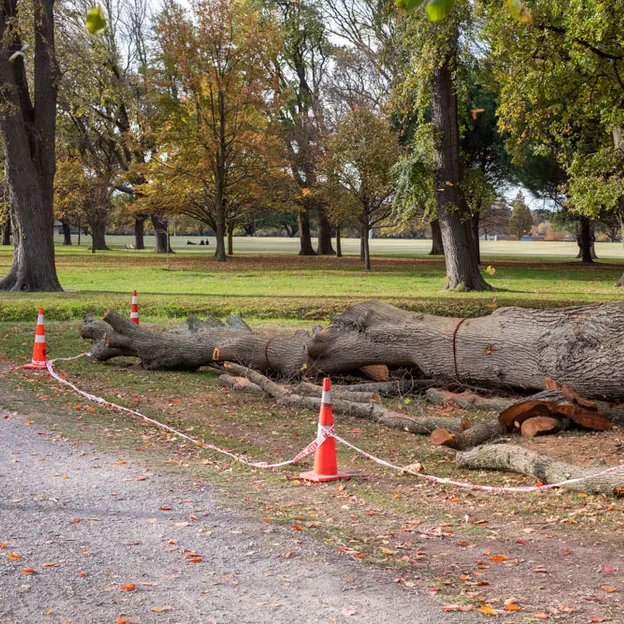 2.5.2020 Addington, South Hagley Park — photograph 66 of 84