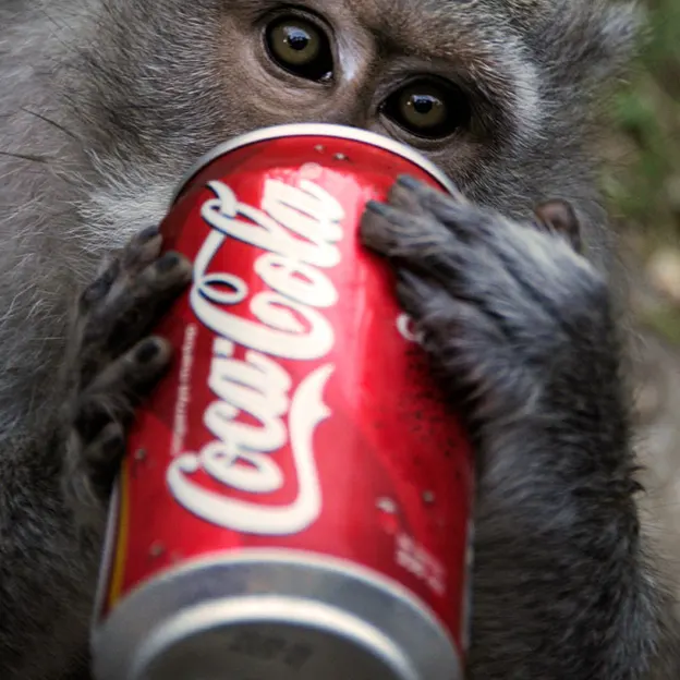 Animals — photograph 27 of 83