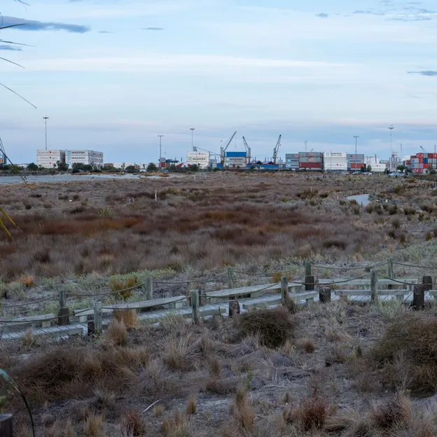 2.10.2020 Trip To Timaru (part 1)  — photograph 119 of 141