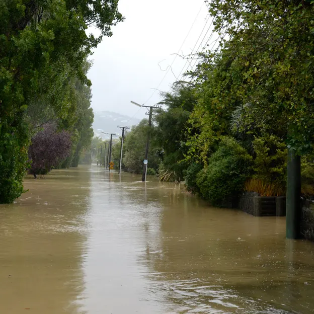The Big Rainfall — photograph 13 of 50