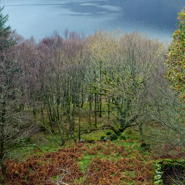 Scotlands Countryside 2012 — photograph 25 of 99