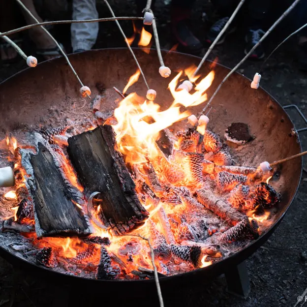 27.12.2020 Camping At Little River — photograph 25 of 100