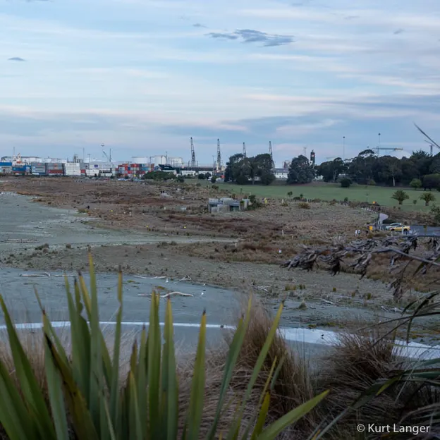 2.10.2020 Trip To Timaru (part 1)  — photograph 113 of 141