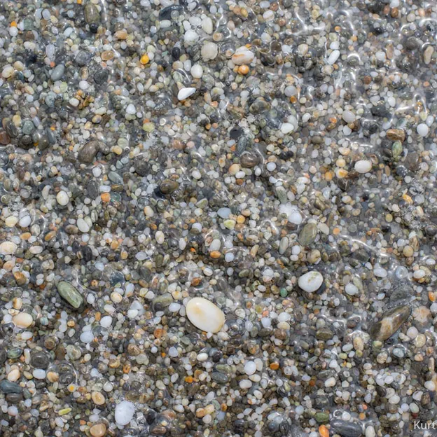 8.1.2020 Punakaiki — photograph 32 of 99