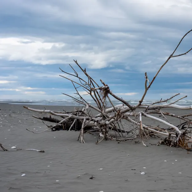 27.4.2020 Southshore Spit — photograph 15 of 26