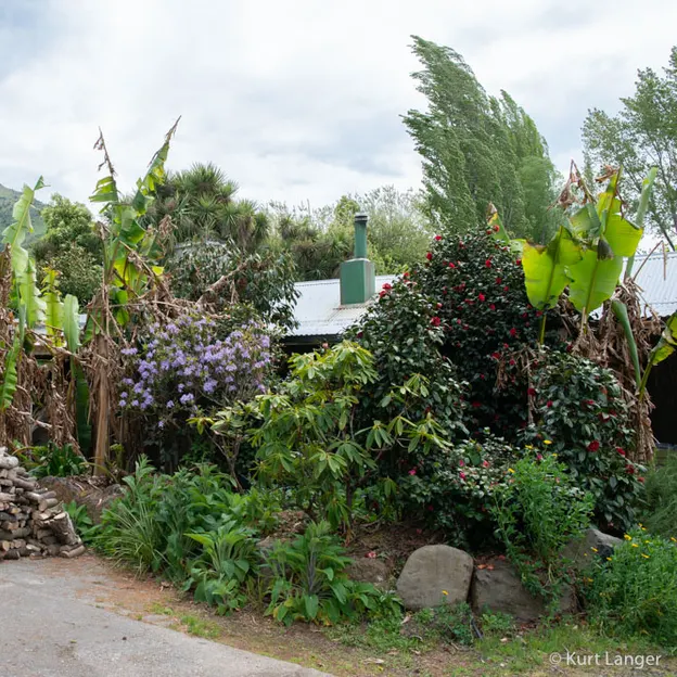 Little River Open Garden Day 27.10.2019 — photograph 43 of 113