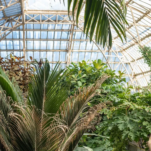 8.8.2020 Botanics With Family — photograph 19 of 20