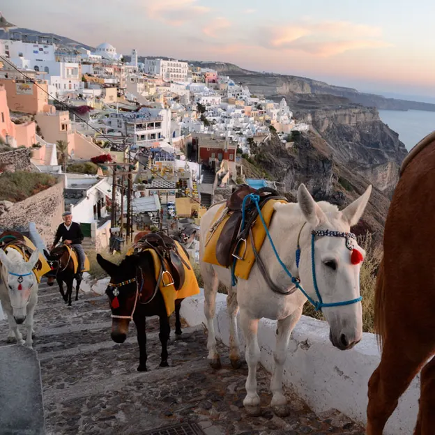 Santorini — photograph 28 of 30