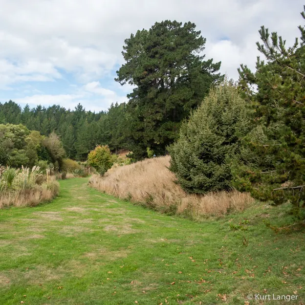 14.4.2020 Halswell Quarry Park — photograph 26 of 46