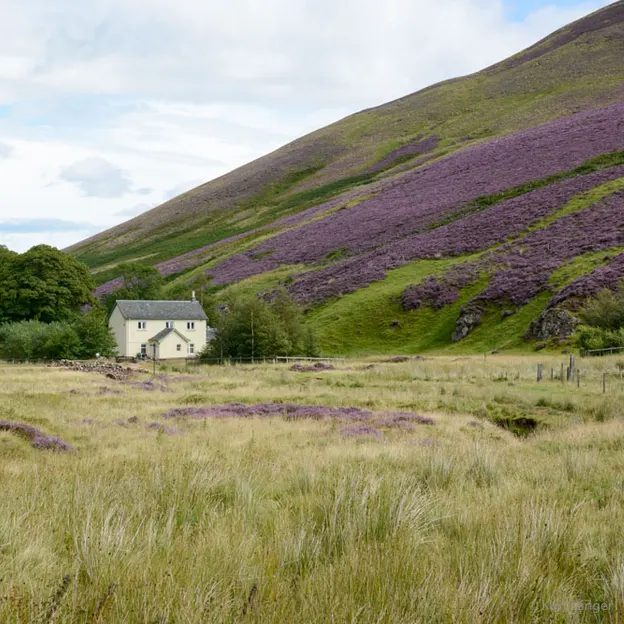 Edinburgh's Beautiful Countryside — photograph 23 of 34