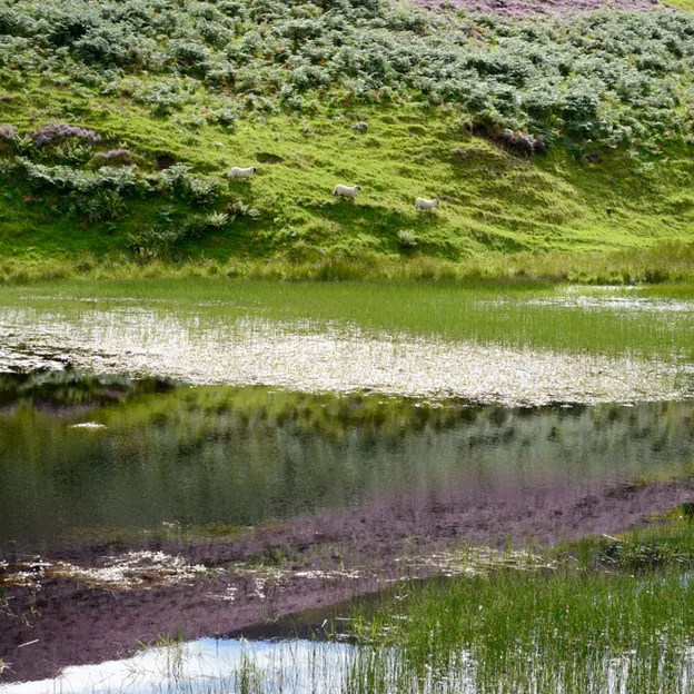 Edinburgh's Beautiful Countryside — photograph 26 of 34