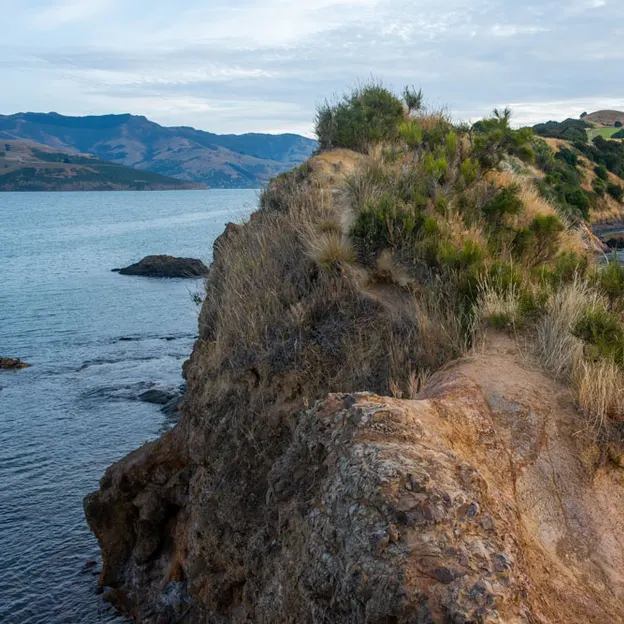 27.1.2020 Little River & Onawe Peninsula — photograph 25 of 32