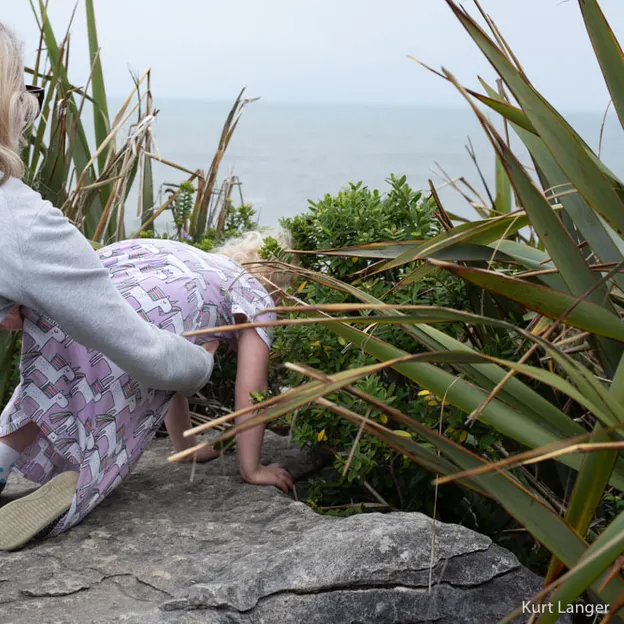 8.1.2020 Punakaiki — photograph 15 of 99