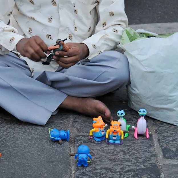 Incredible India 2010 — photograph 217 of 289