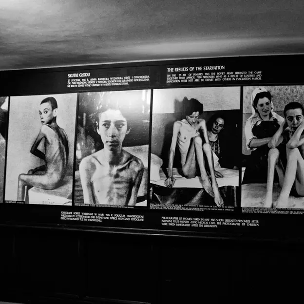 Auschwitz 2012 — photograph 13 of 27