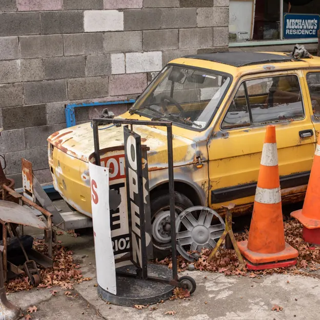 2.5.2020 Addington, South Hagley Park — photograph 30 of 84