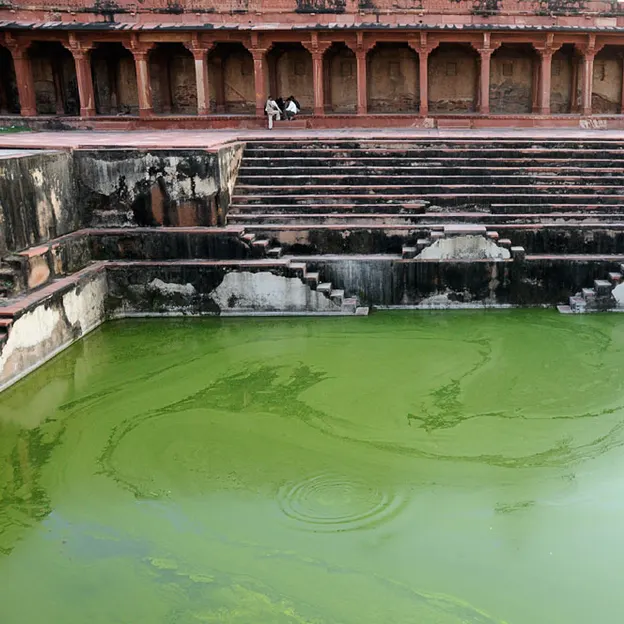 Incredible India 2010 — photograph 186 of 289