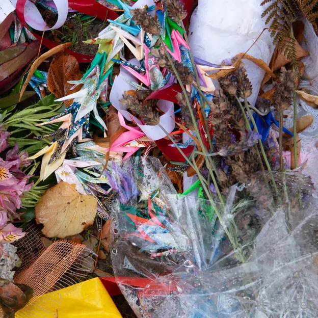 The Memorial Wall In The Rain 5.04.2019 — photograph 20 of 30