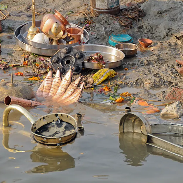 Incredible India 2010 — photograph 191 of 289