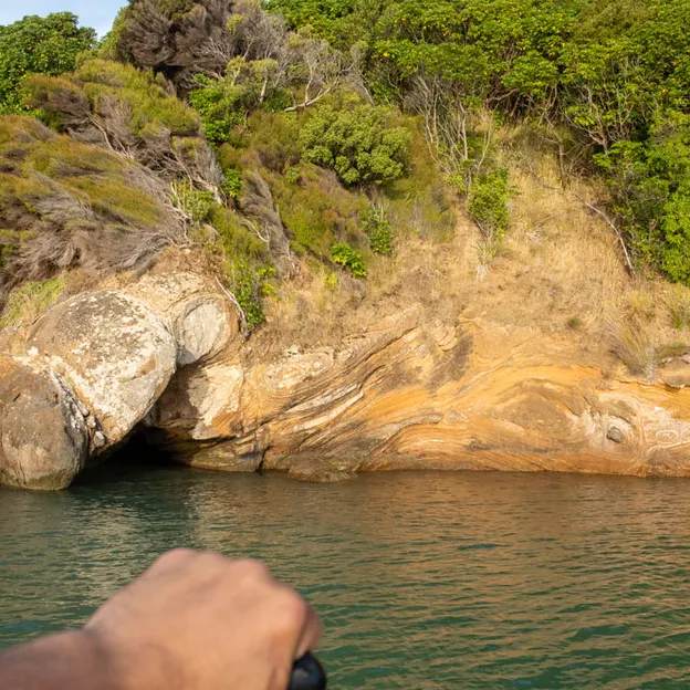 27.1.2020 Little River & Onawe Peninsula — photograph 14 of 32