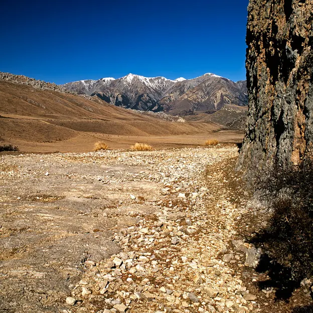 Canterbury, New Zealand — photograph 30 of 40