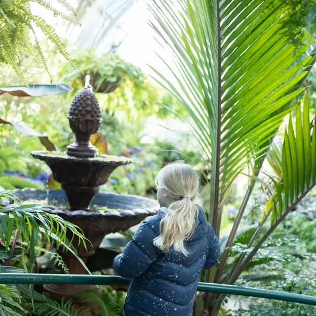 8.8.2020 Botanics With Family — photograph 17 of 20