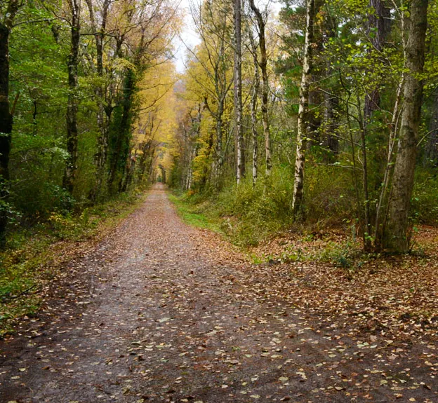 Hanmer Springs In Autumn — photograph 22 of 24