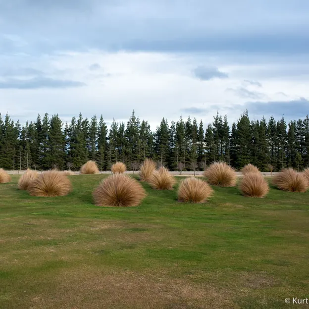 11.7.2020 Terrace Downs — photograph 62 of 86