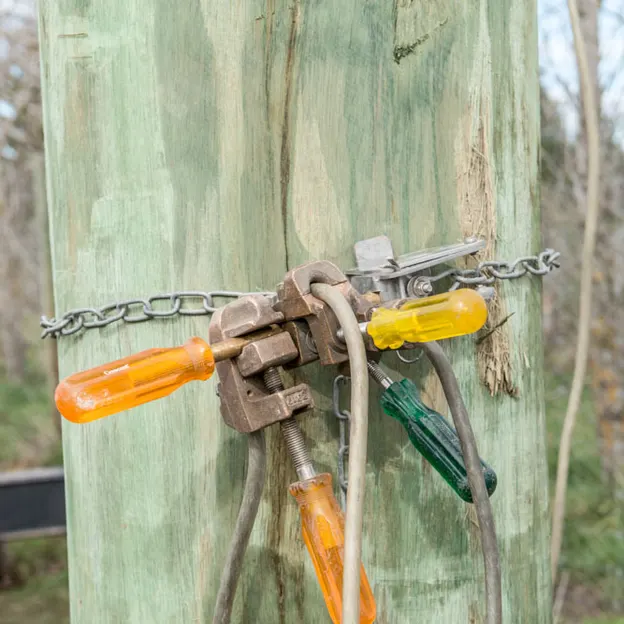 Connectics — photograph 9 of 29