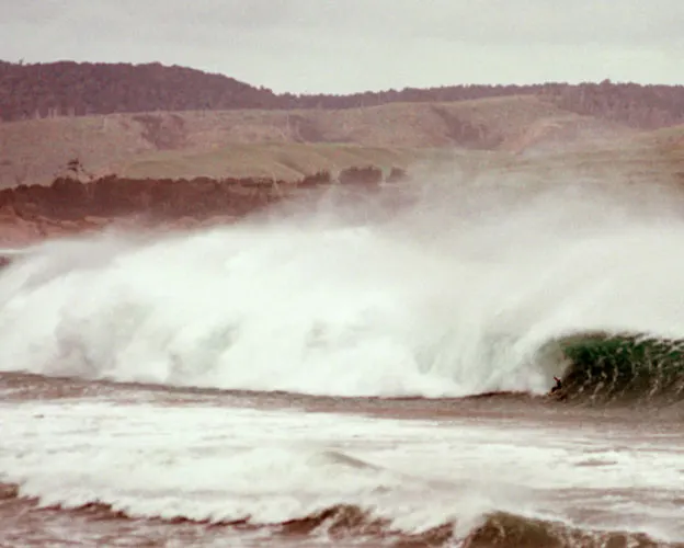 Curio Bay On A Big Day