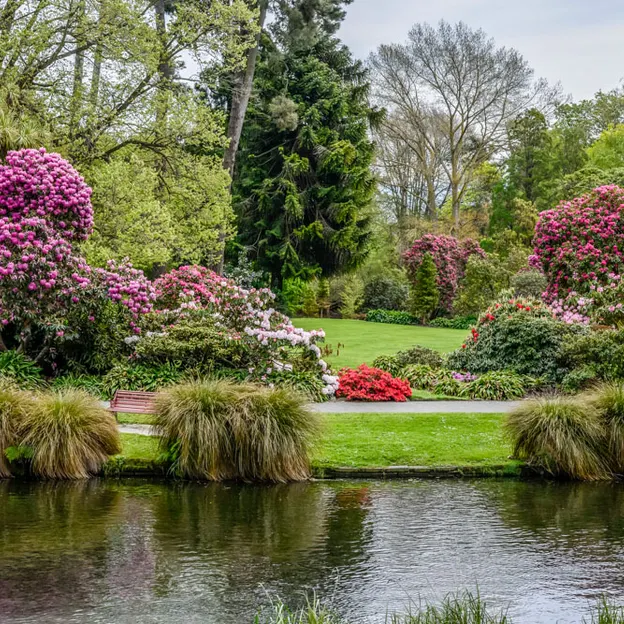 Springtime At The Christchurch Botanical Gardens — photograph 65 of 86