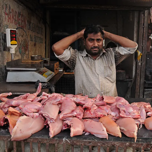 Incredible India 2010 — photograph 239 of 289