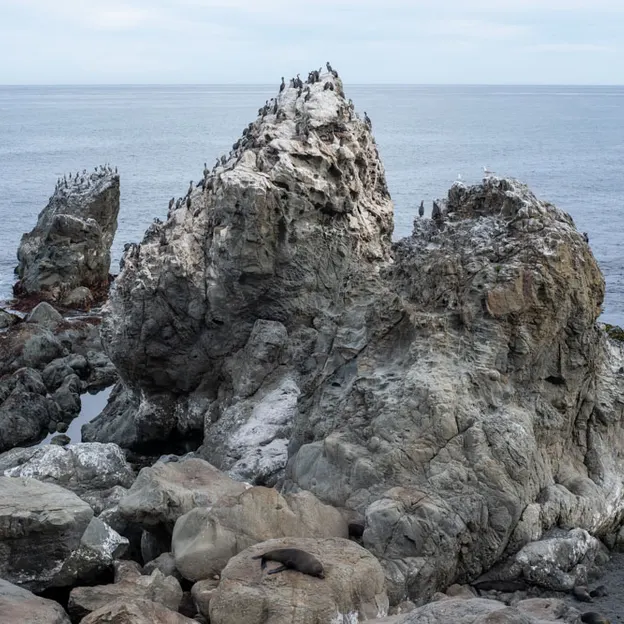 24.10.2020 Kaikoura With Family — photograph 37 of 64