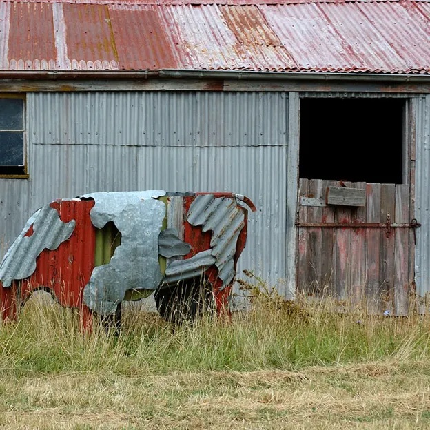 Kiwiana 1995 - 2010 — photograph 46 of 115