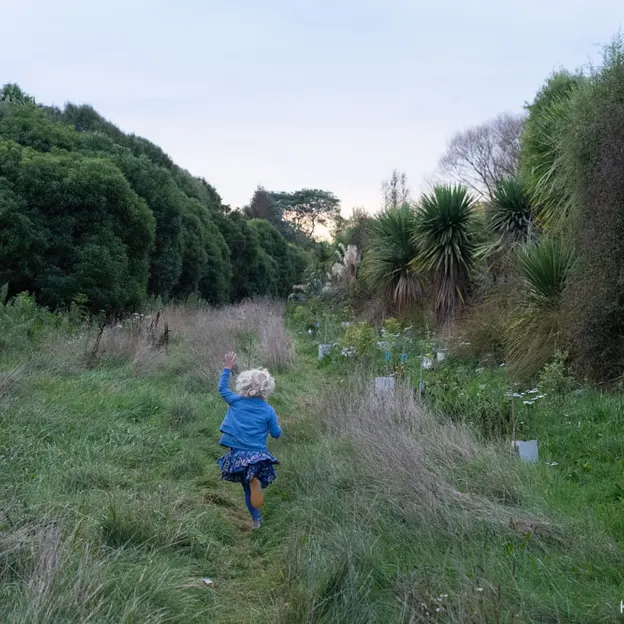 7.5.2020 Travis Wetland — photograph 27 of 27