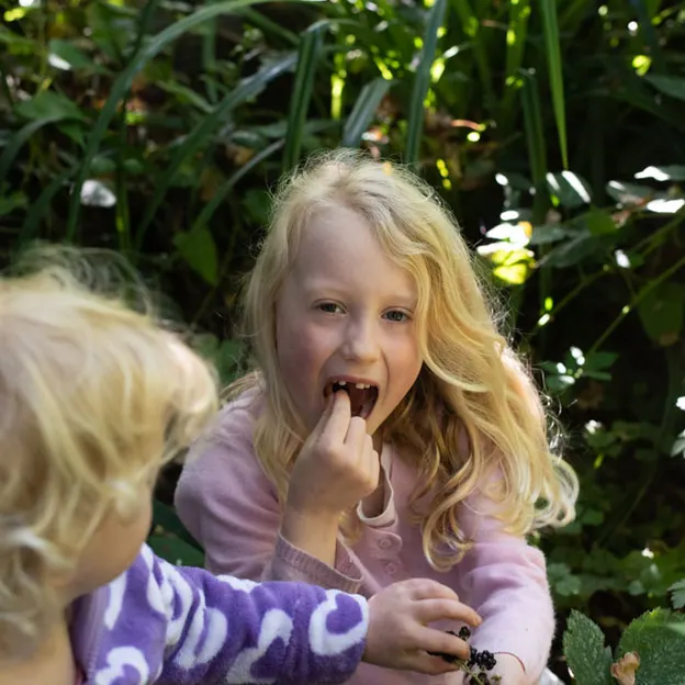 8.4.2020 Ernle Clark Reserve — photograph 14 of 23